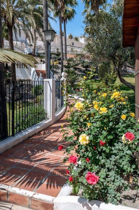 Oasis 16 Apartment Нерха Екстериор снимка